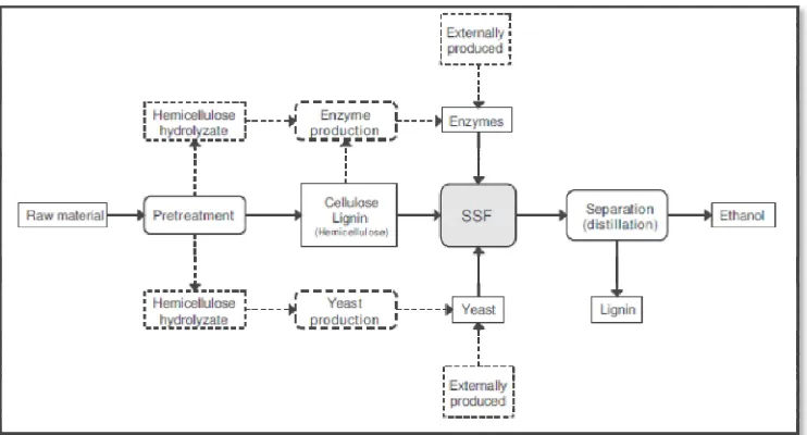 Gambar 6.  Tahapan proses pembuatan etanol dengan metode SSF  
