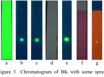 Figure 3  Chromatogram of BK with some spray reagent 