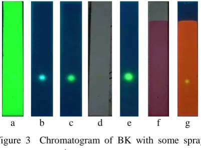 Figure 3  Chromatogram of BK with some spray reagent 