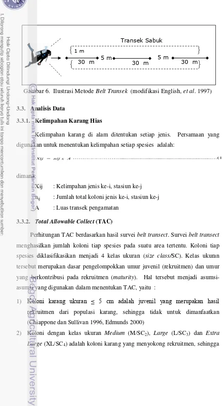 Gambar 6.  Ilustrasi Metode Belt Transek  (modifikasi English, et al. 1997) 