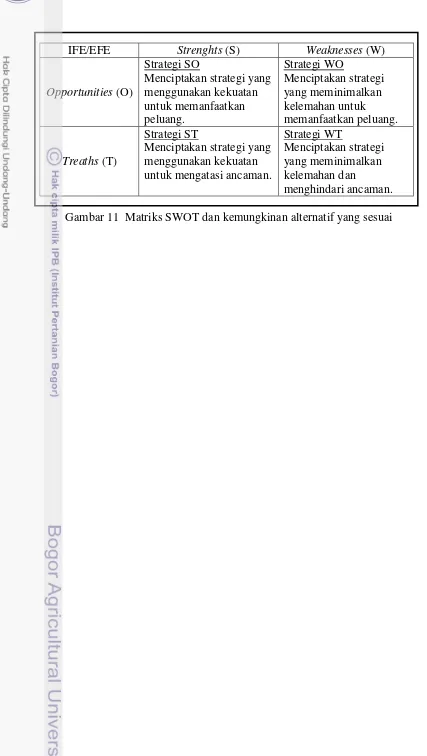 Gambar 11  Matriks SWOT dan kemungkinan alternatif yang sesuai