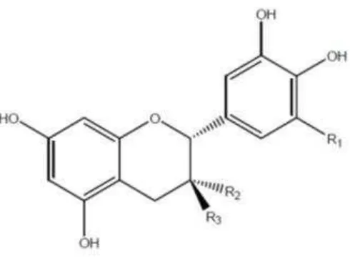 Gambar 4. Struktur flavon-3-ol  ( USDA Database for the Flavonoid Content of Selected Foods dalam Inggrid dan Santoso, 2014) 