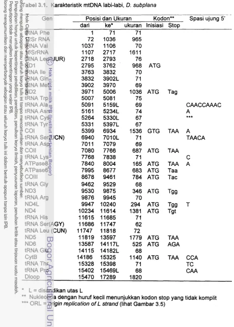 Tabel 3.1. Karakteristik mtDNA labi-labi, D. subplana 