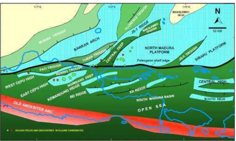 Gambar 2.3 Paleogene Geography of the East Java Basin (Satyana, 2005) 