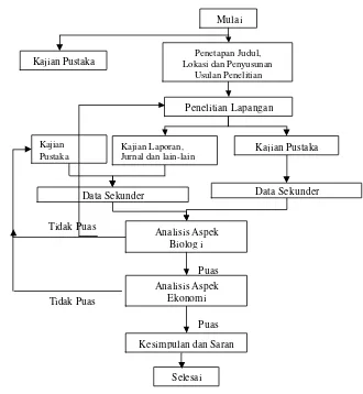 Gambar 2.  Diagram alir proses penelitian optimasi pemanfaatan sumber daya udang Jerbung 