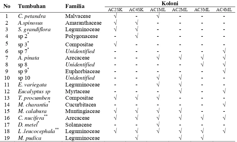 Tabel 3  Tipe polen yang ditemukan pada enam koloni A. cerana 