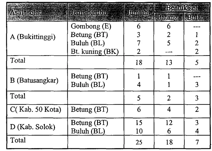 Tabel 4. Jumlah dan pengelompokkan bentuk sel isolat BAL yang berasal dari berbagai jenis bambu di empat Kabupaten 