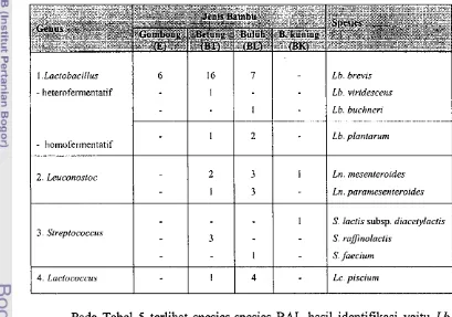Tabel 5. Nama-nama spesies BAL basil isolasi dan identifikasi dari dadih 
