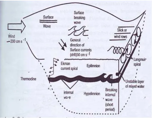 Gambar 3.   Gabungan diagram gaya (angin, gravitasi, evaporasi dan rotasi bumi) dan resultante arus air dan gelombang