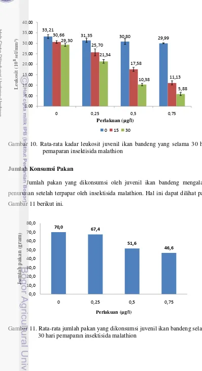 Gambar 10. Rata-rata kadar leukosit juvenil ikan bandeng yang selama 30 hari        