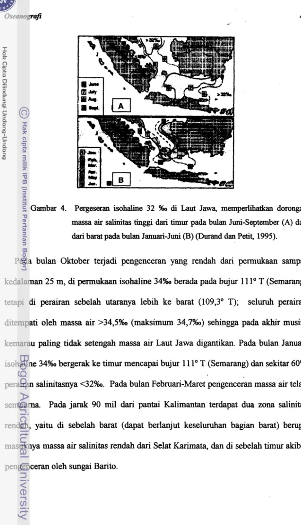 Gambar  4.  Pergeseran  isohaline  32  %o  di  Laut  Jawa,  memperlihatkan dorongan 