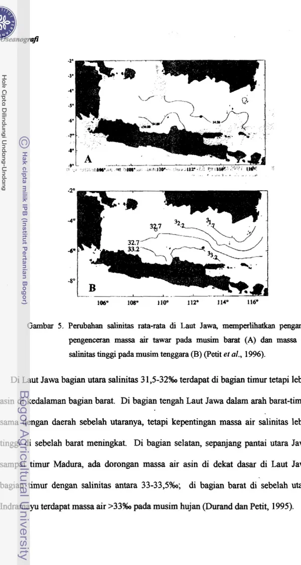 Gambar  5 ,   Perubahan  salinitas  rata-rata  di Laut  Jawa,  memperlihadran  pengaruh  pengenceran  massa  air  tawar  pada  musirn  barat  (A)  dan  massa  air 