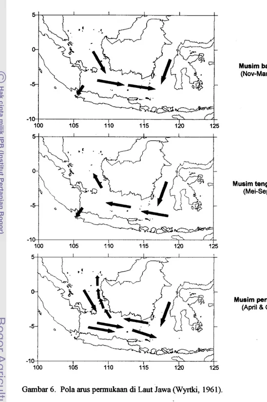Gambar 6 .   Pola  arus permukaan  di  Laut Jawa (Wyrtlu,  196  1). 