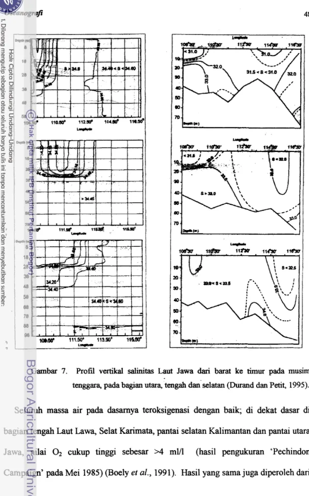Gambar  7.  Profil  vertikal  salinitas  Laut  Jawa  dari  barat  ke  timur  pada  musim 