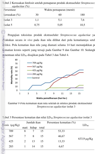 Tabel 2 Kerusakan limfosit setelah pemaparan produk ekstraseluler Streptococcus agalactiae (%) 
