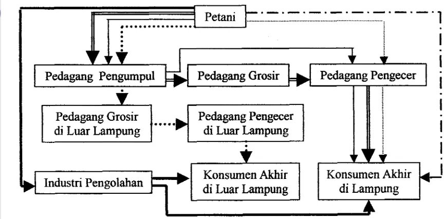 Gambar 3. Pola Saluran Pemasaran Buah-Buahan di Propinsi Lampung, 200 1 
