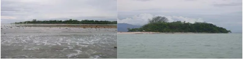 Gambar 6. Saat Air Surut Terjauh Dengan Jarak 408,30 m (gambar kiri) dan Saat  Air Pasang (gambar kanan), di Timur Barat Pulau Pombo   