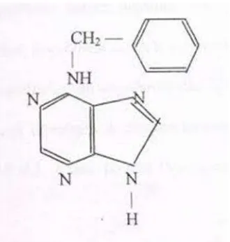 Gambar 1.Rumus bangun benziladenin (BA)