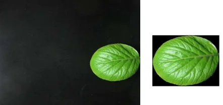 Figure 3. Image obtained before and after pre-processing 