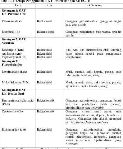 Tabel 2.1 Terapi Penggunaan OAT Pasien dengan MDR-TB Jenis Sifat Efek Samping 