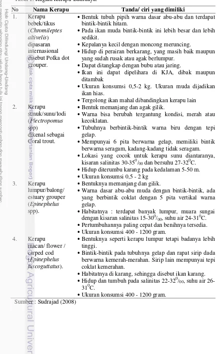 Tabel 1. Ragam Kerapu Budidaya. 