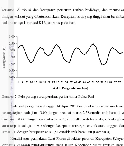 Gambar 7  Pola pasang surut perairan pesisir timur Pulau Pasi. 