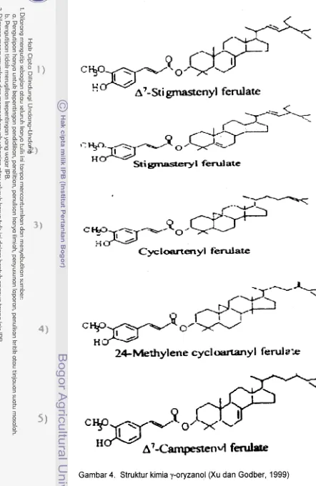 Gambar 4. Struktur kimia y-oryzanol (Xu dan Godber, 1999) 