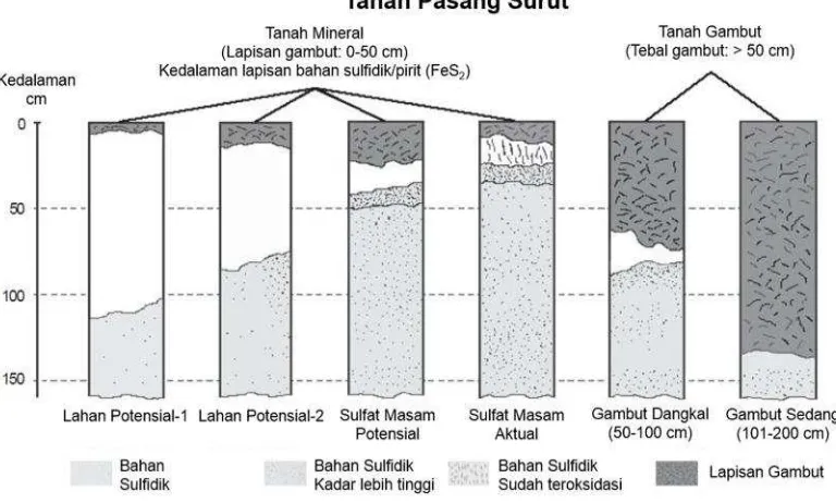 Gambar 2  Skematis pembagian tanah pasang surut berdasarkan kedalaman pirit dan ketebalan gambut (Subagyo 2006)