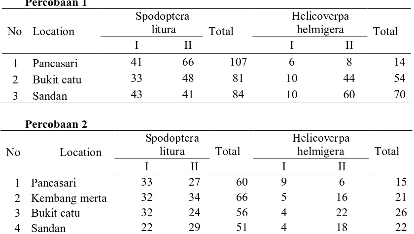 Tabel 1. Jumlah imago Spodoptera litura dan Helicoverpa armigera