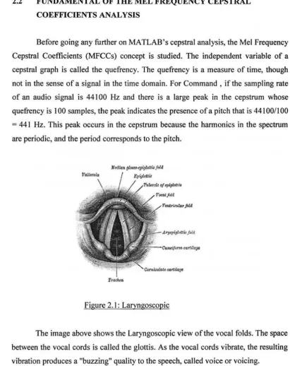 Figure 2.1 : Laryngoscopic 