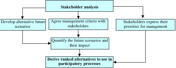 Figure 4. The trade-off analysis process 