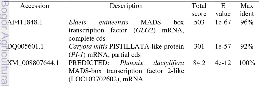 Gambar 12. Analisis homologi fragmen DNA P1 dan P2 teramplifikasi primer BMG P1 dengan database GenBank  fragmen DNA mendekati nol, hal ini menunjukkan sekuen fragmen DNA P1 dan P2 mempunyai tingkat homologi yang tinggi dengan sekuen gen kelas B