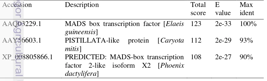 Tabel 11.  Hasil BLASTp asam amino hasil translasi DNA fragmen P1 teramplifikasi primer BMG  