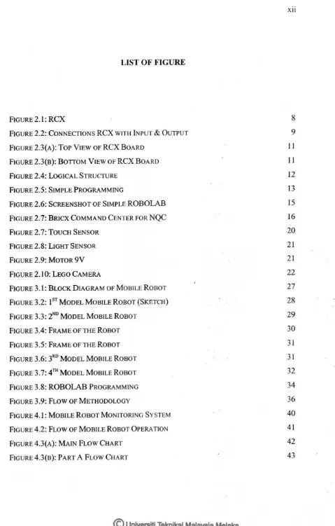 FIGURE 2.1: RCX 