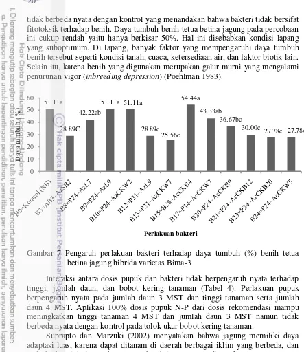 Gambar 7 Pengaruh perlakuan bakteri terhadap daya tumbuh (%) benih tetua