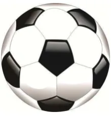 Gambar 2.4. : Bola Sepakbola 
