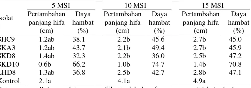 Tabel 5  Pengaruh penghambatan bakteri endofit terhadap hifa Septobasidium sp. pada lada 
