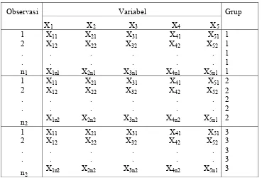 Tabel  8.  Matriks Data Model Analisis Faktorial Diskriminan 