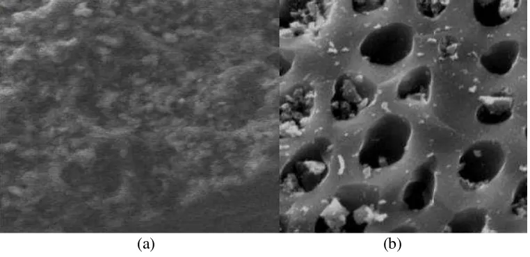 Gambar 2.   Mikrofotogram Scanning Electron Microscope (Perbesaran 5000x) pada permukaan arang tempurung kemiri (a) dan arang aktif tempurung kemiri yang diaktivasi dengan cara fisika (b)  