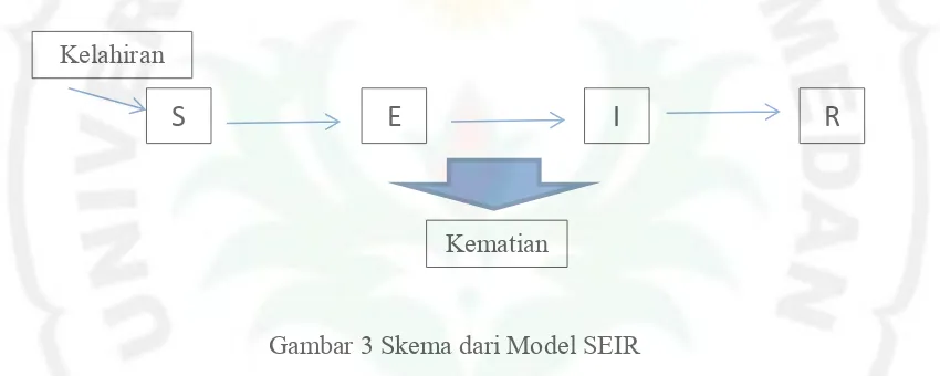 Gambar 3 Skema dari Model SEIR 