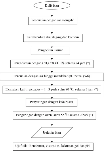 Gambar 4. Diagram alir proses pembuatan gelatin kulit ikan kakap merah (Lutjanus sp.) (* Modifikasi Pelu et al