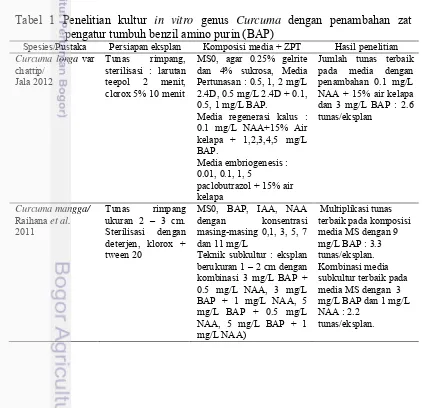 Tabel 1 Penelitian kultur in vitro genus Curcuma dengan penambahan zat 