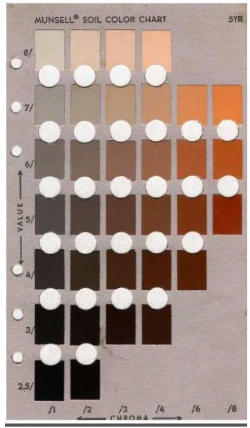 Gambar 8 Bagan Warna (munsell color chart) 