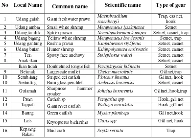 Table 3: The species of shrimp and fish caught by fisherman from Sungai Kakap estuary 