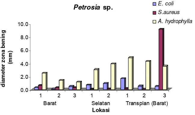 Gambar 8  Toksisitas spons Petrosia sp. terhadap Artemia salina. 