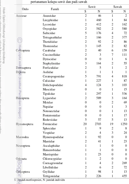 Tabel 4  Kelimpahan ordo, famili, morfospesies dan individu predator pada pertanaman kelapa sawit dan padi sawah 