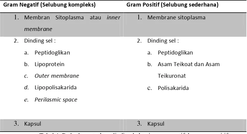 Tabel 4. Perbedaan struktur dinding bakteri gram negatif dan gram positif 