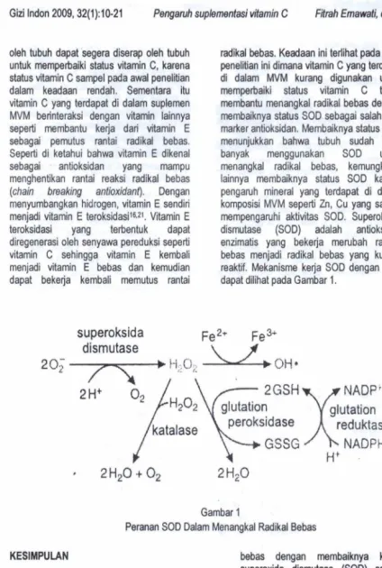 Gambar 1 P e r m  SOD Dalam Menangkal Radikal Bebas 