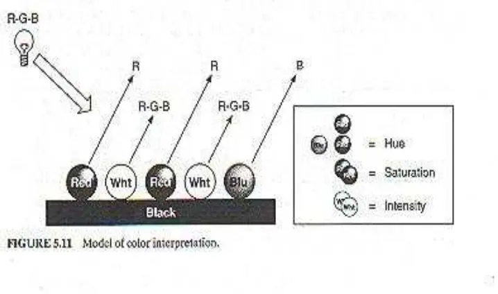 Figure 2.2: Coordinates of hue, saturation and intensity of color in space (Soloman 