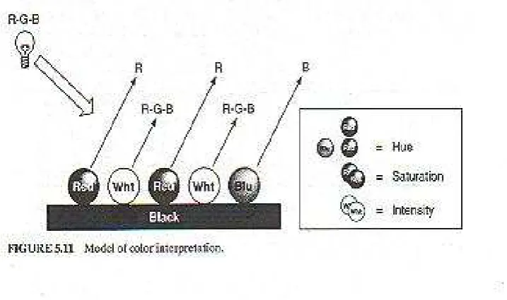 Figure 2.2: Coordinates of hue, saturation and intensity of color in space (Soloman 